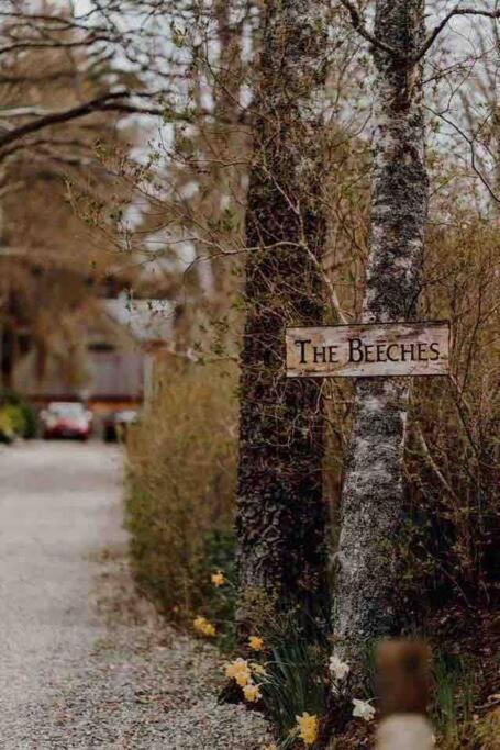 The Beeches Studio, Highlands Of Scotland 뉴턴모어 외부 사진